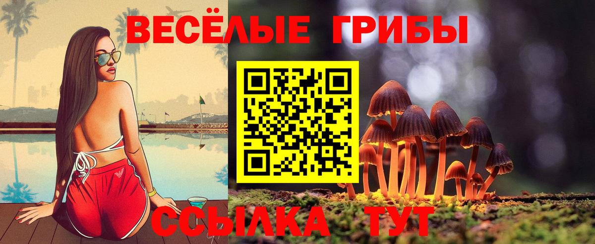 Псилоцибиновые грибы ЛСД Карпинск